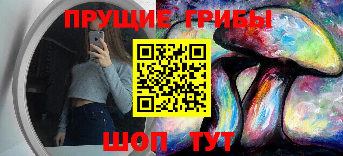 Псилоцибиновые грибы прущие грибы  что такое наркотик  Белгород  Вход с VPN 