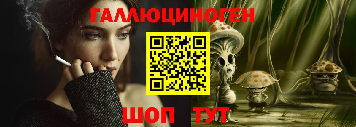Галлюциногенные грибы Psilocybe Белгород